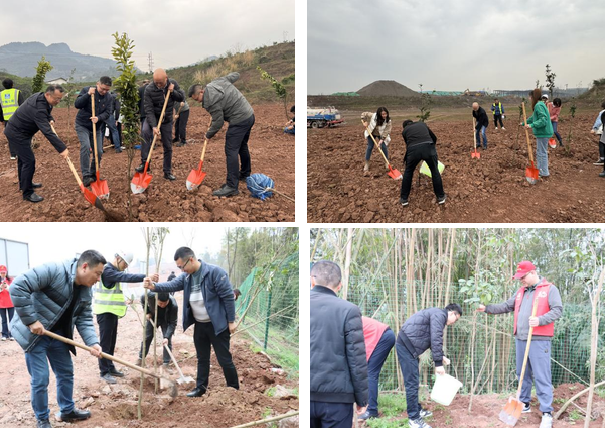 建設管理部黨總支組織開展植樹活動3.png